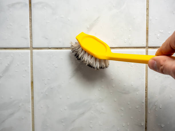 Best Commercial Mold Remediation in Centerville, SC