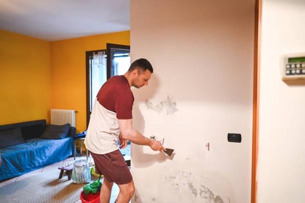Best Emergency Mold Remediation in Centerville, SC